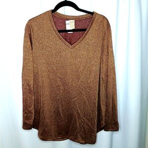 Faded Glory Shimmer Tunic Top V-neck Long Sleeves Stretch Pullover NWT Womens 1X